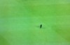 Black cat invades the pitch during Barca’s opening La Liga game with Elche