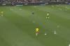 Flock of Seagulls take up residence on pitch during Melbourne Victory 2-0 Wellington Phoenix