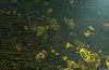 Dortmund fans give a rousing rendition of You’ll never walk alone after Wolfsburg game