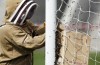 Beekeepers called in to remove swarm of bees from Oldham goalpost