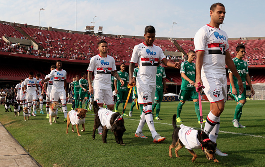 Sao Paulo accompanied by dog mascots ahead of Palmeiras clash